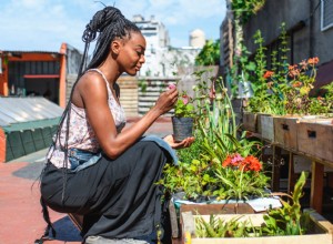 Cómo convertir tu azotea o balcón en un jardín urbano: Guía experta paso a paso