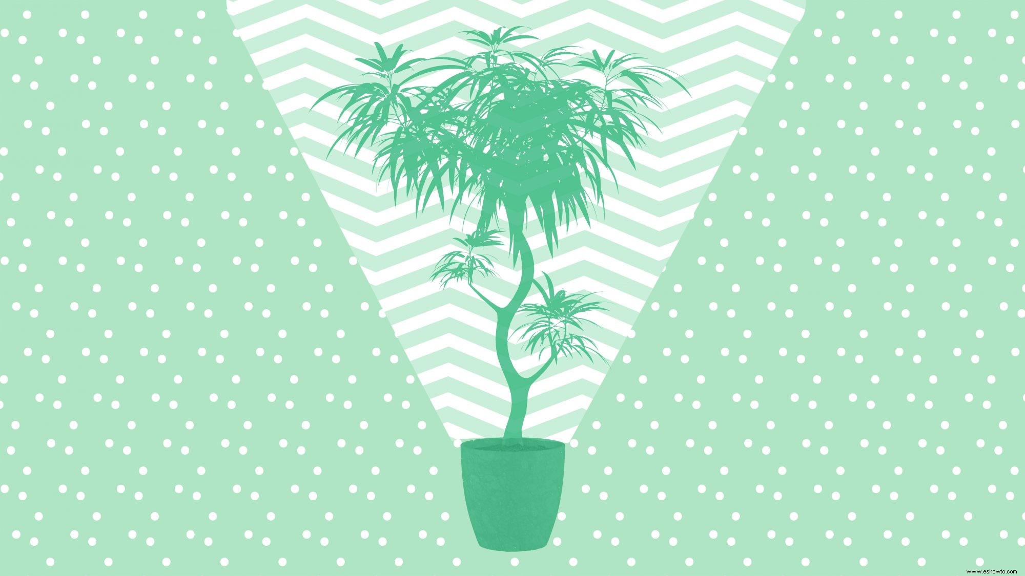 6 plantas que pueden limpiar el aire de tu hogar 