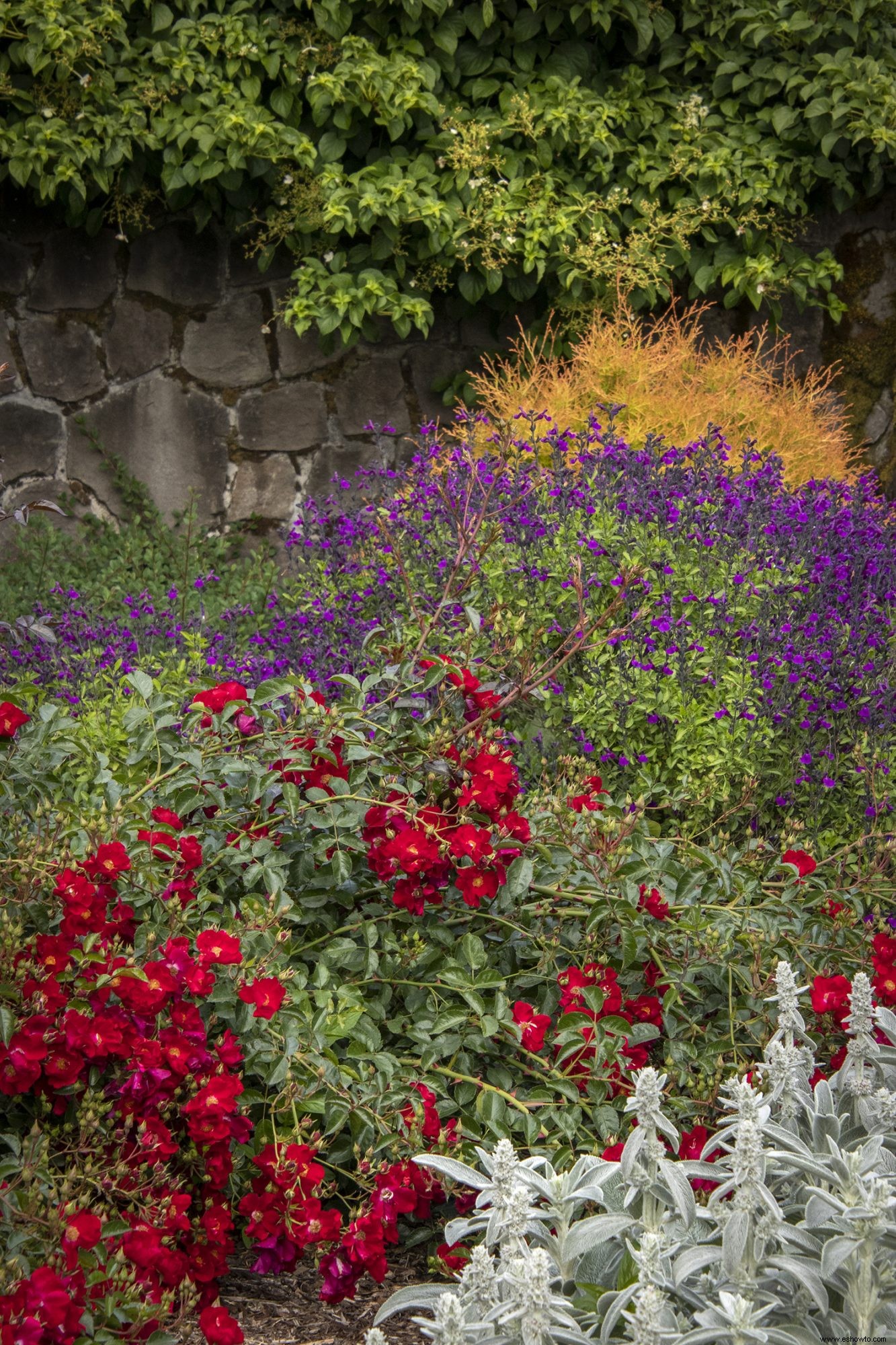 5 combinaciones de plantas a prueba de fallas para un hermoso jardín delantero 