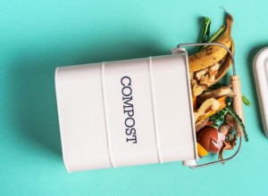 Errores comunes en el compostaje que sabotearán tus esfuerzos ecológicos (y cómo corregirlos)