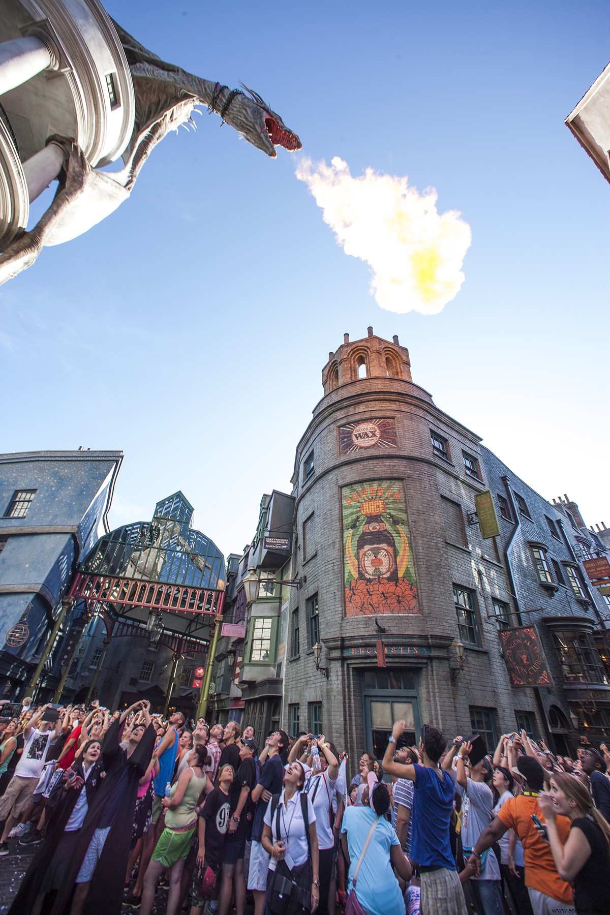 Los 8 trucos geniales que debes saber antes de visitar el mundo de Harry Potter 