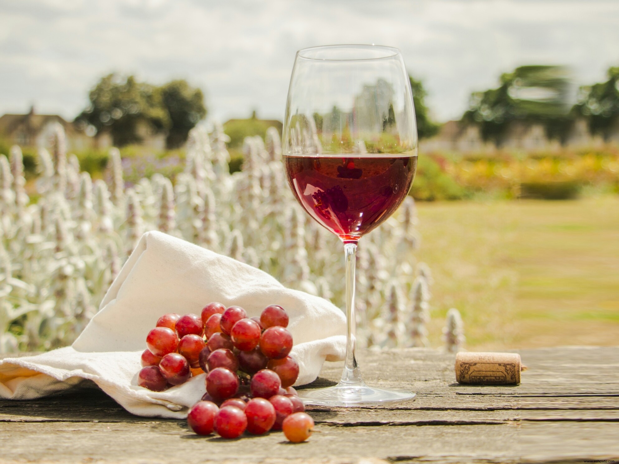 7 beneficios para la salud respaldados por la ciencia de beber vino tinto 