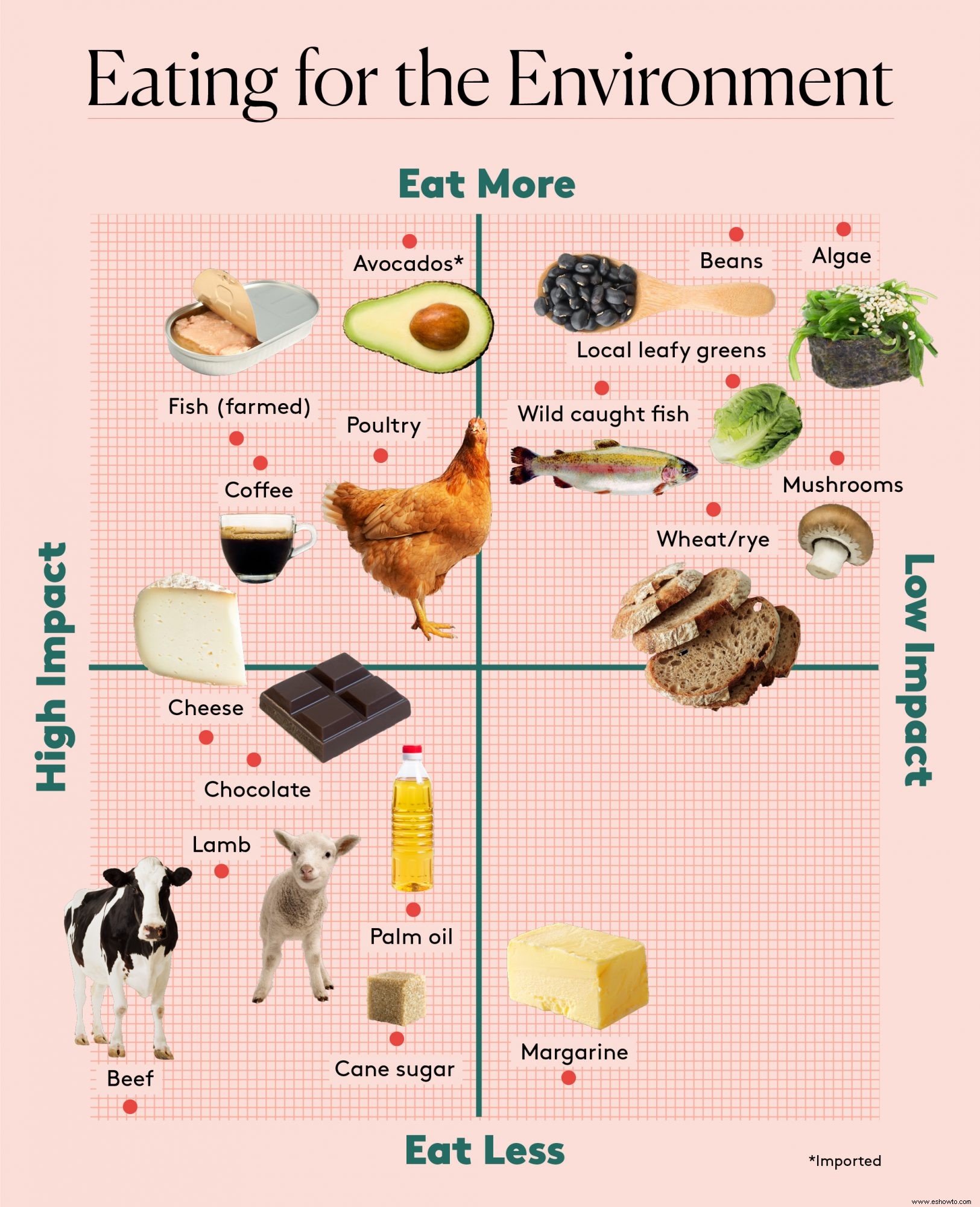 Los 5 mejores alimentos para el medio ambiente y los 5 peores 