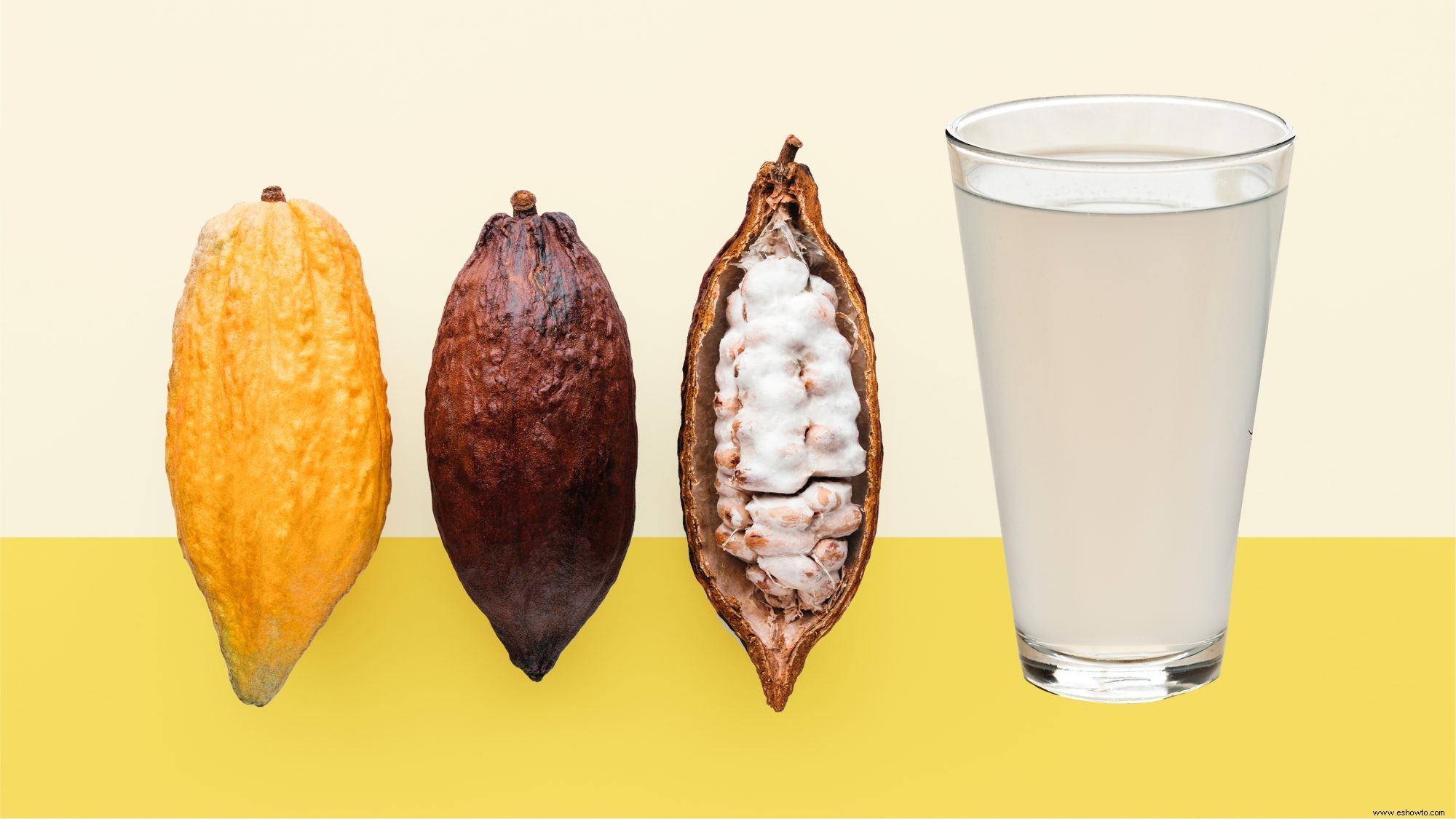 El agua de cacao es la bebida saludable y refrescante de la que todo el mundo habla 
