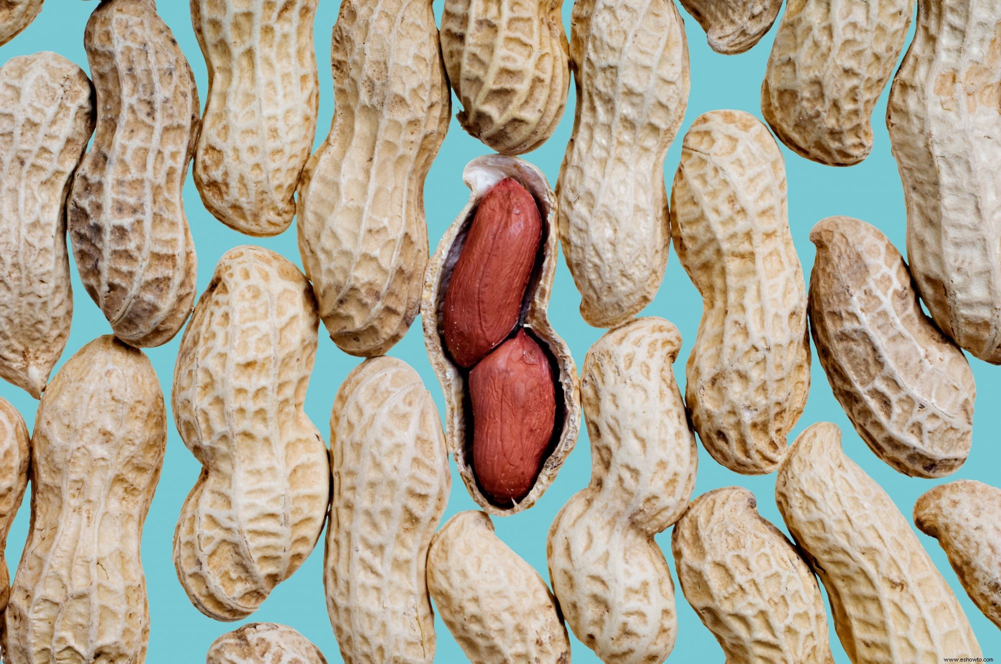 Los cacahuetes son una de las mejores fuentes de proteína de origen vegetal, según RD 