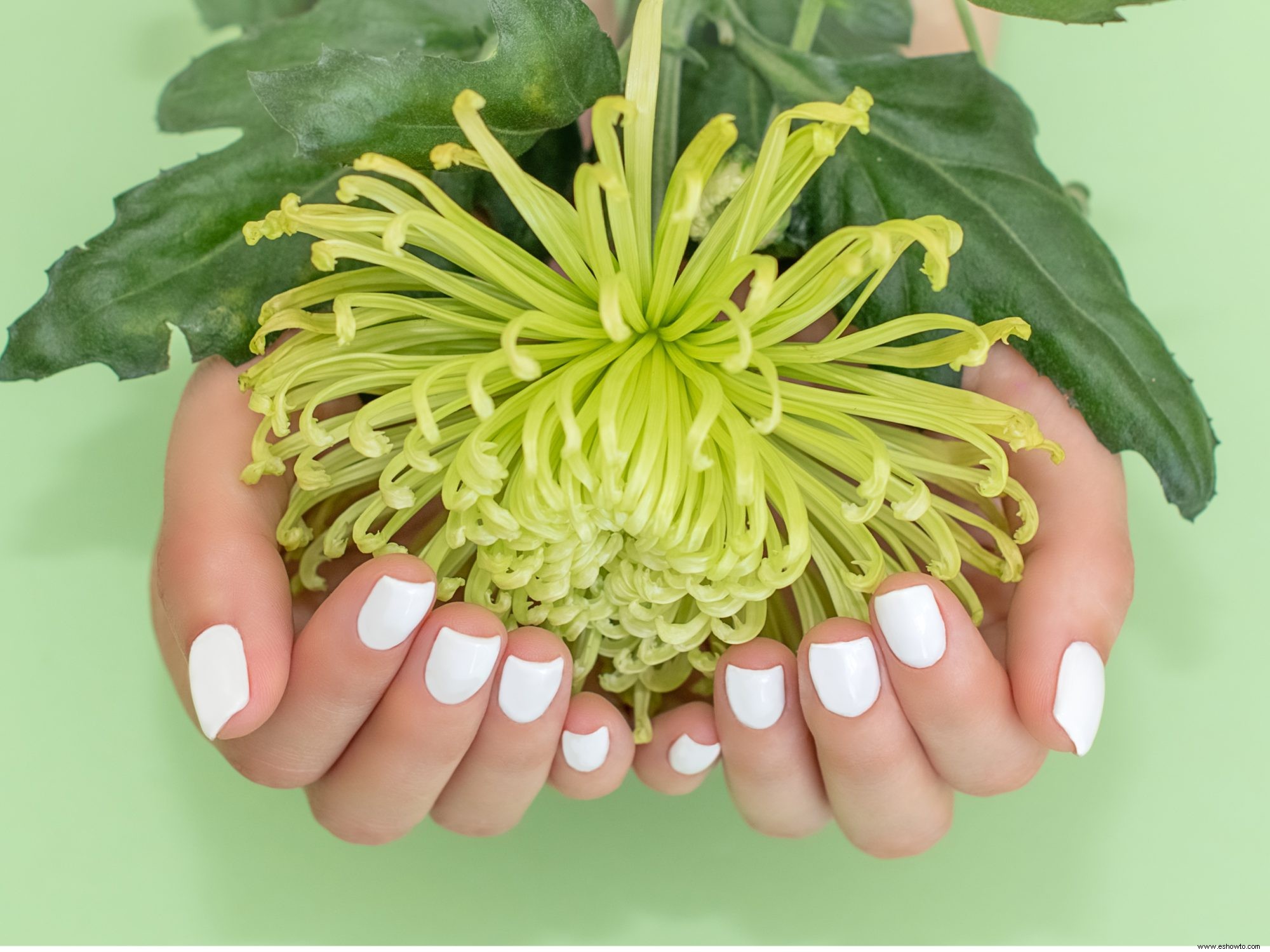 8 productos para uñas no tóxicos que mantendrán tus uñas hermosas y saludables 