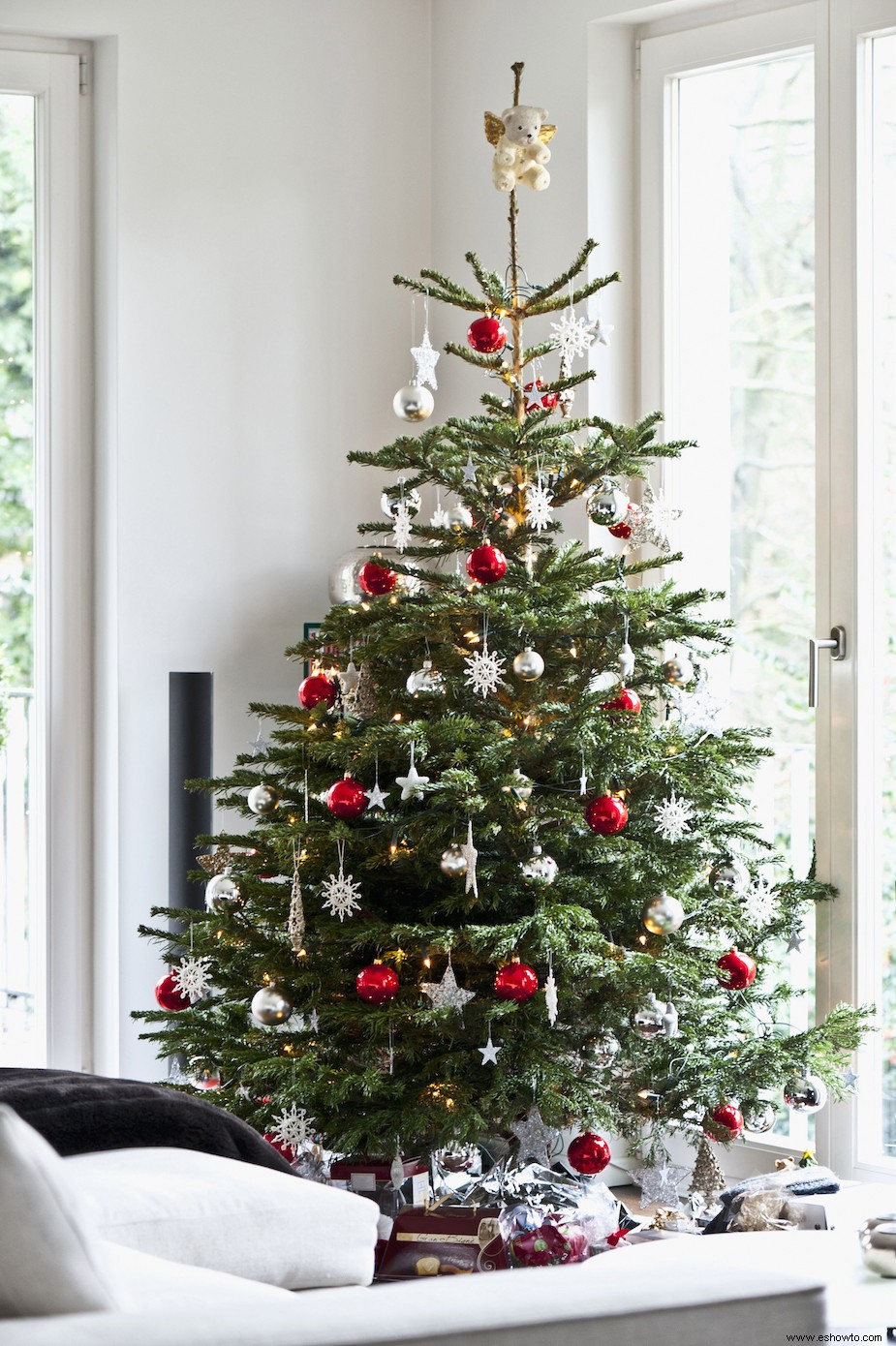 7 cosas esenciales que debes saber antes de comprar tu primer árbol de Navidad 