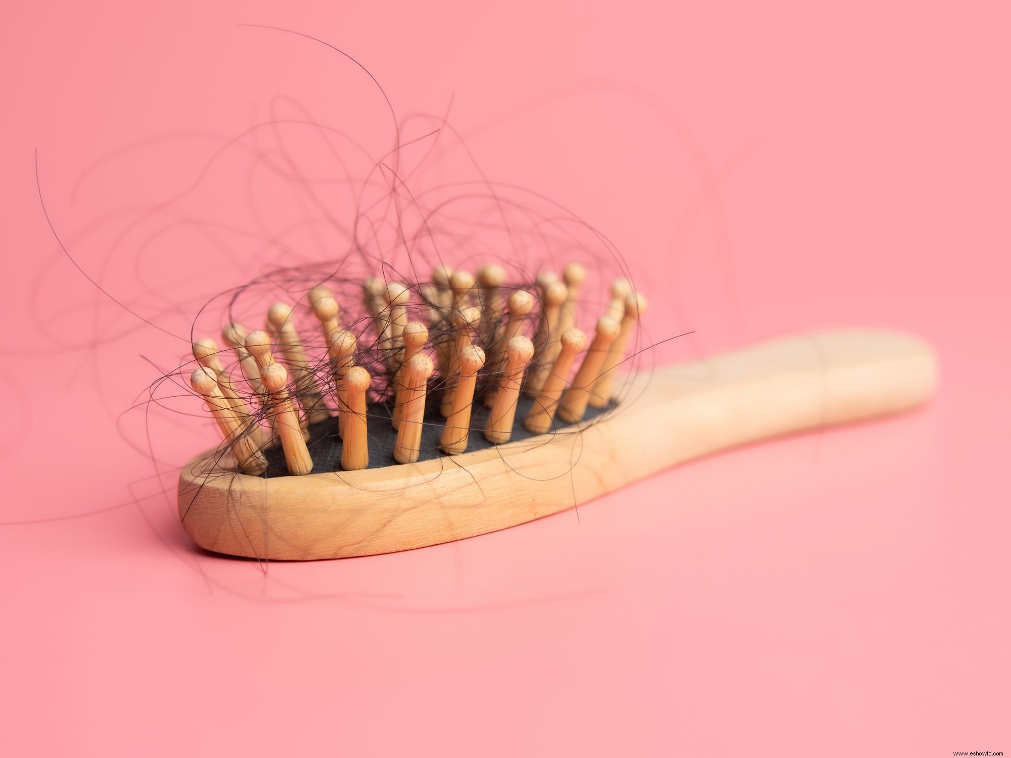 Los 8 mejores productos para combatir la caída del cabello, según los tricólogos 