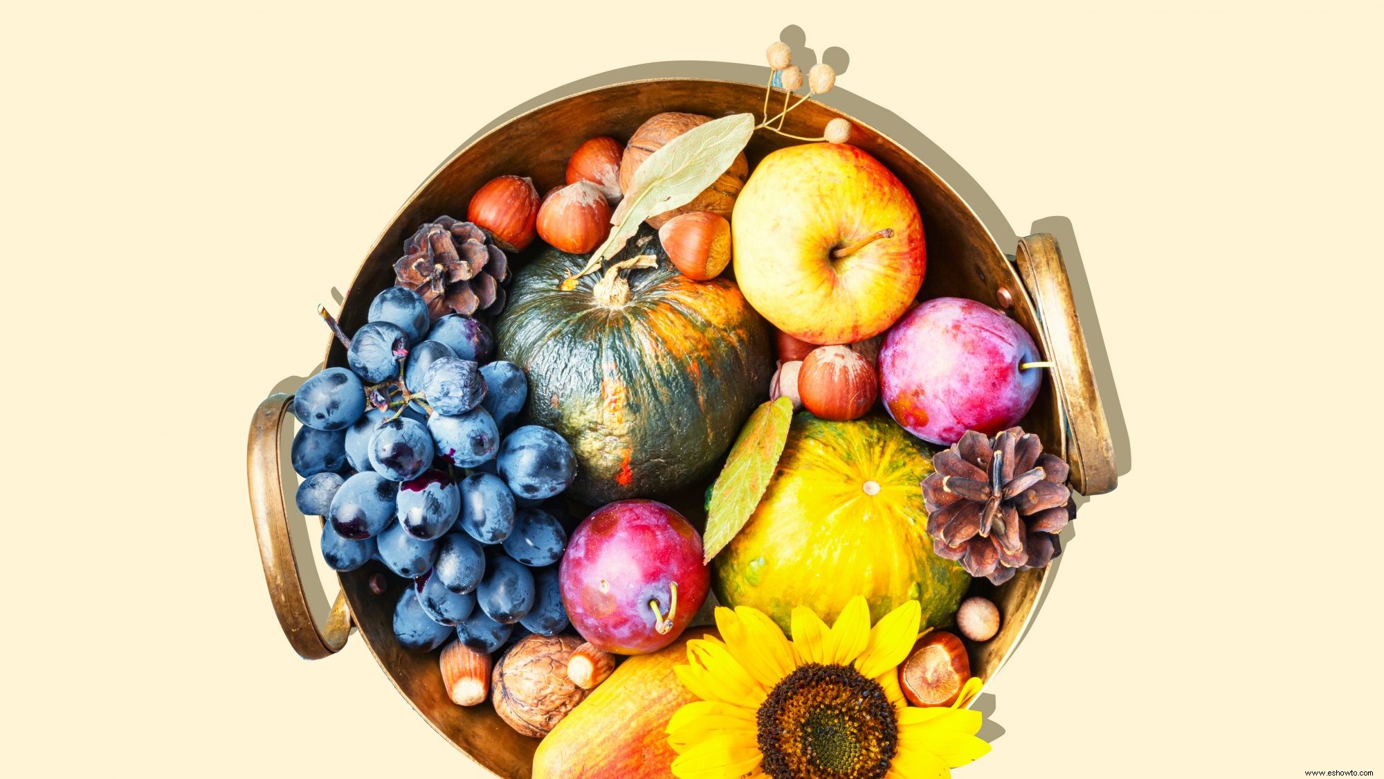 6 alimentos de otoño para comer para tener ojos más sanos y una mejor visión 