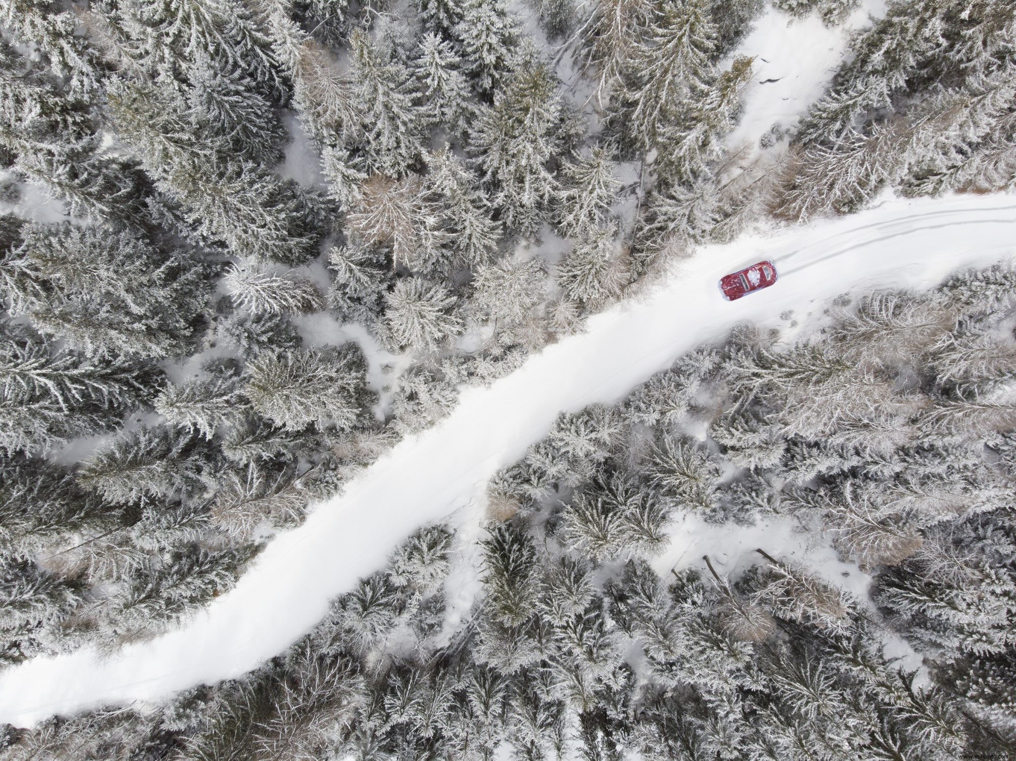 ¿Son los neumáticos para nieve una inversión que vale la pena? 