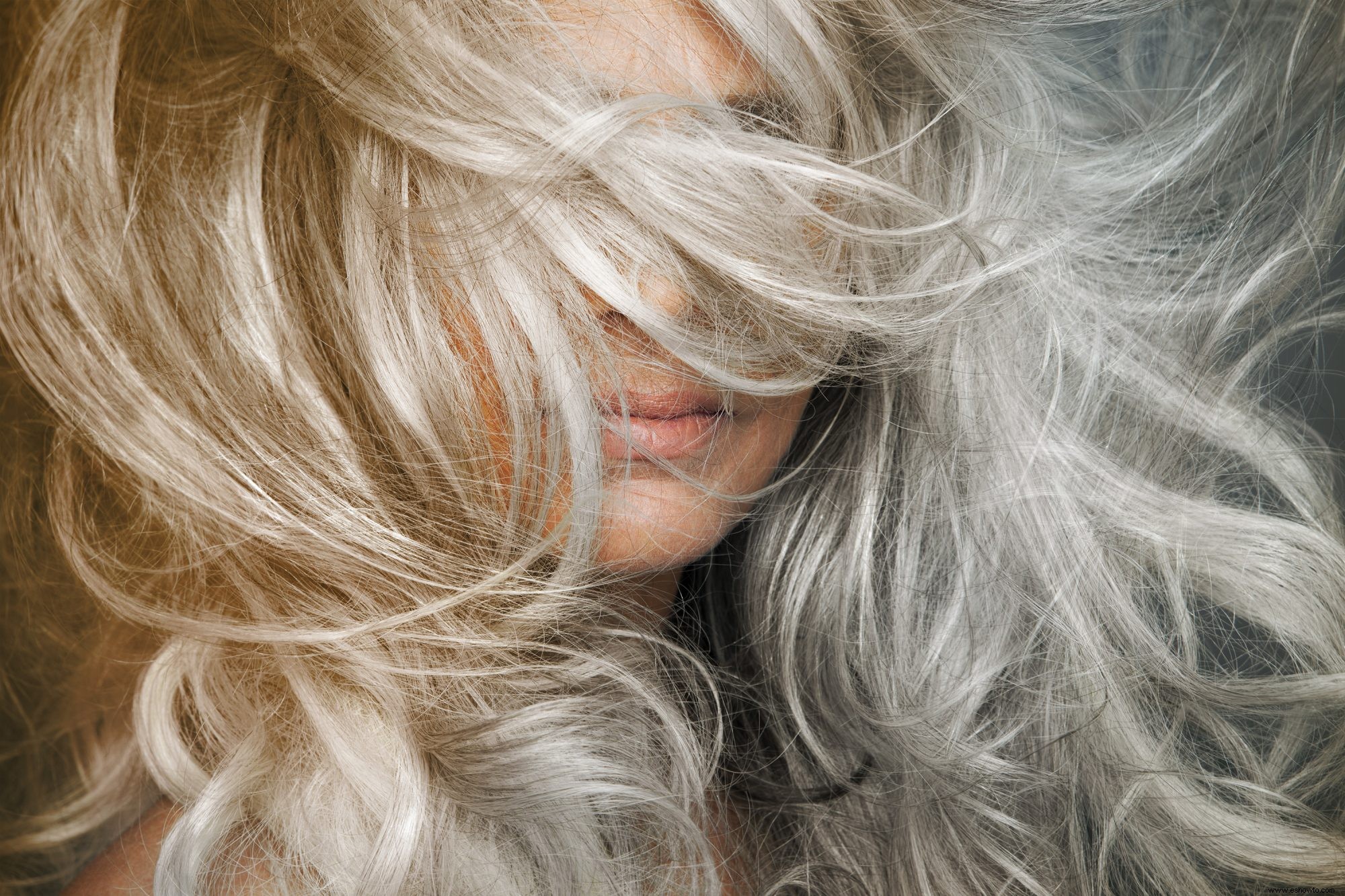 Pregúntale a un editor de belleza:cómo hacer la transición al cabello gris natural 