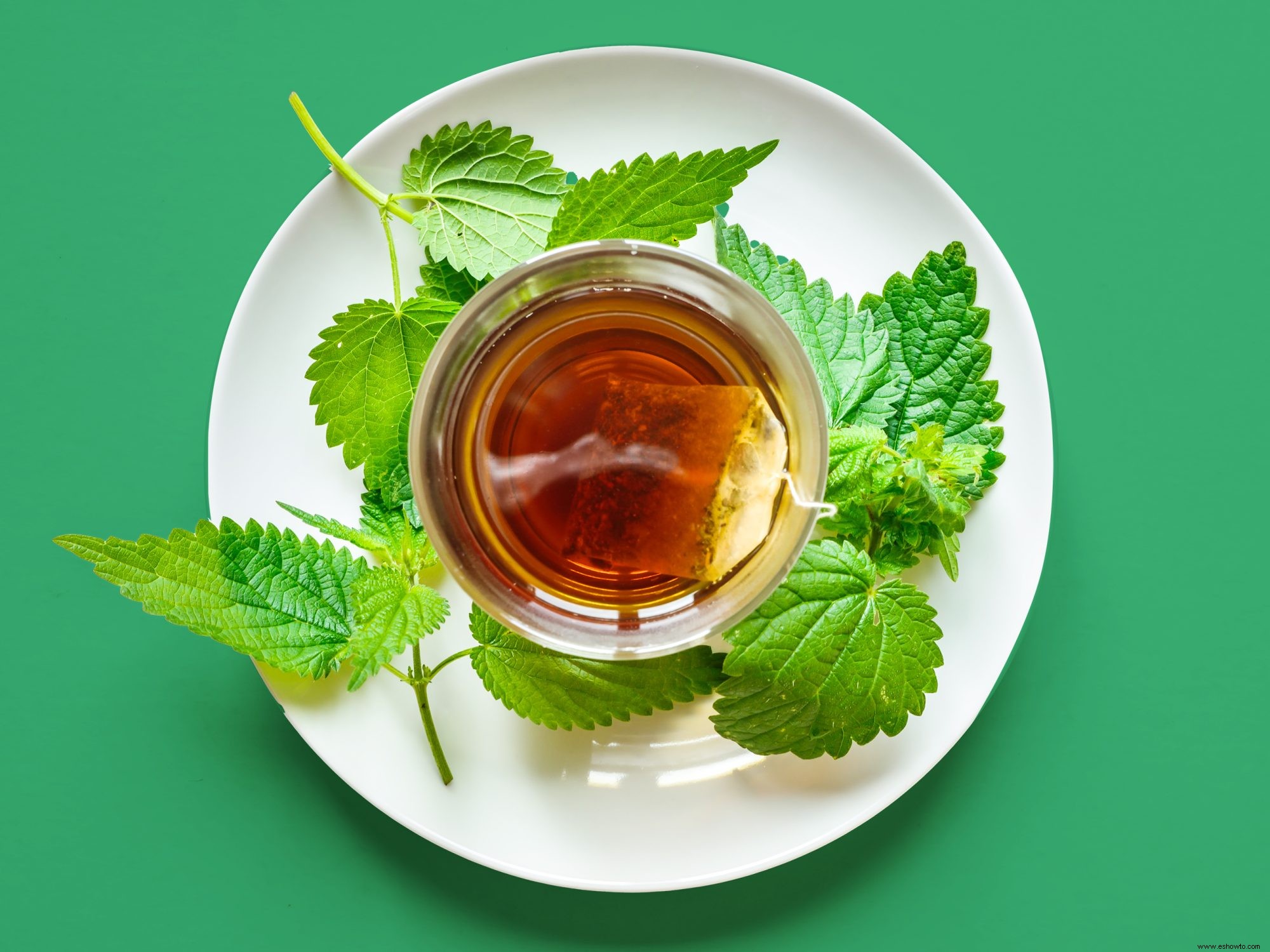 El té de ortiga es un remedio herbal ancestral:estos son sus 4 principales beneficios para la salud (y cómo prepararlo en casa) 