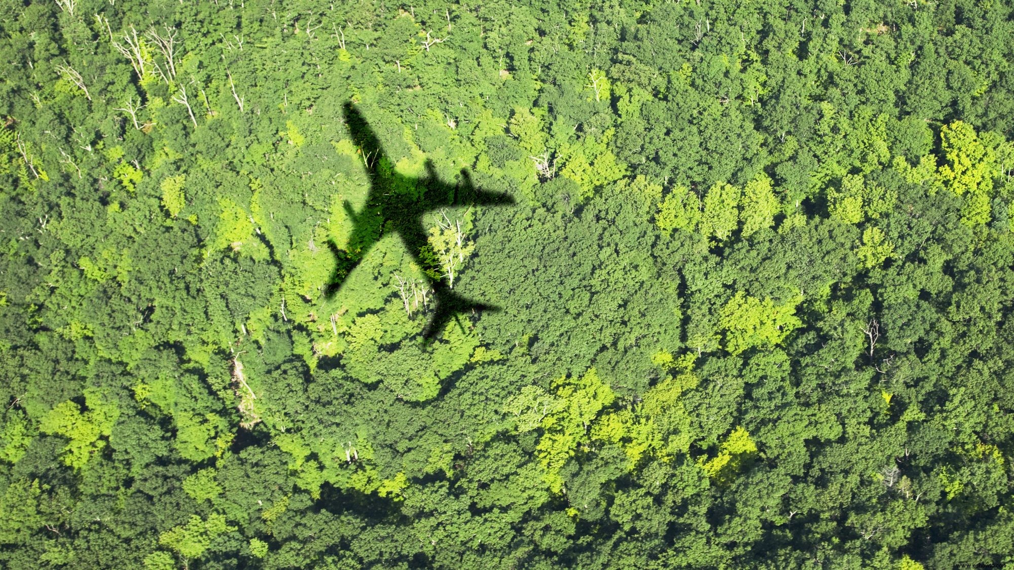 7 maneras fáciles de hacer que su próximo viaje sea más ecológico 