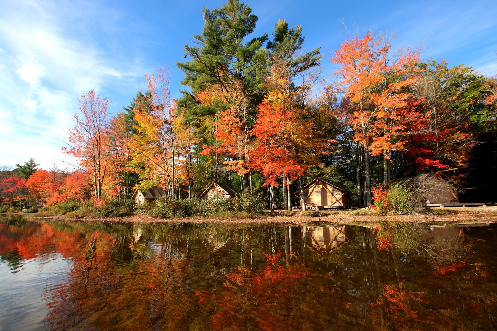 Estos son los mejores lugares para ver el follaje de otoño con su familia, estado por estado 