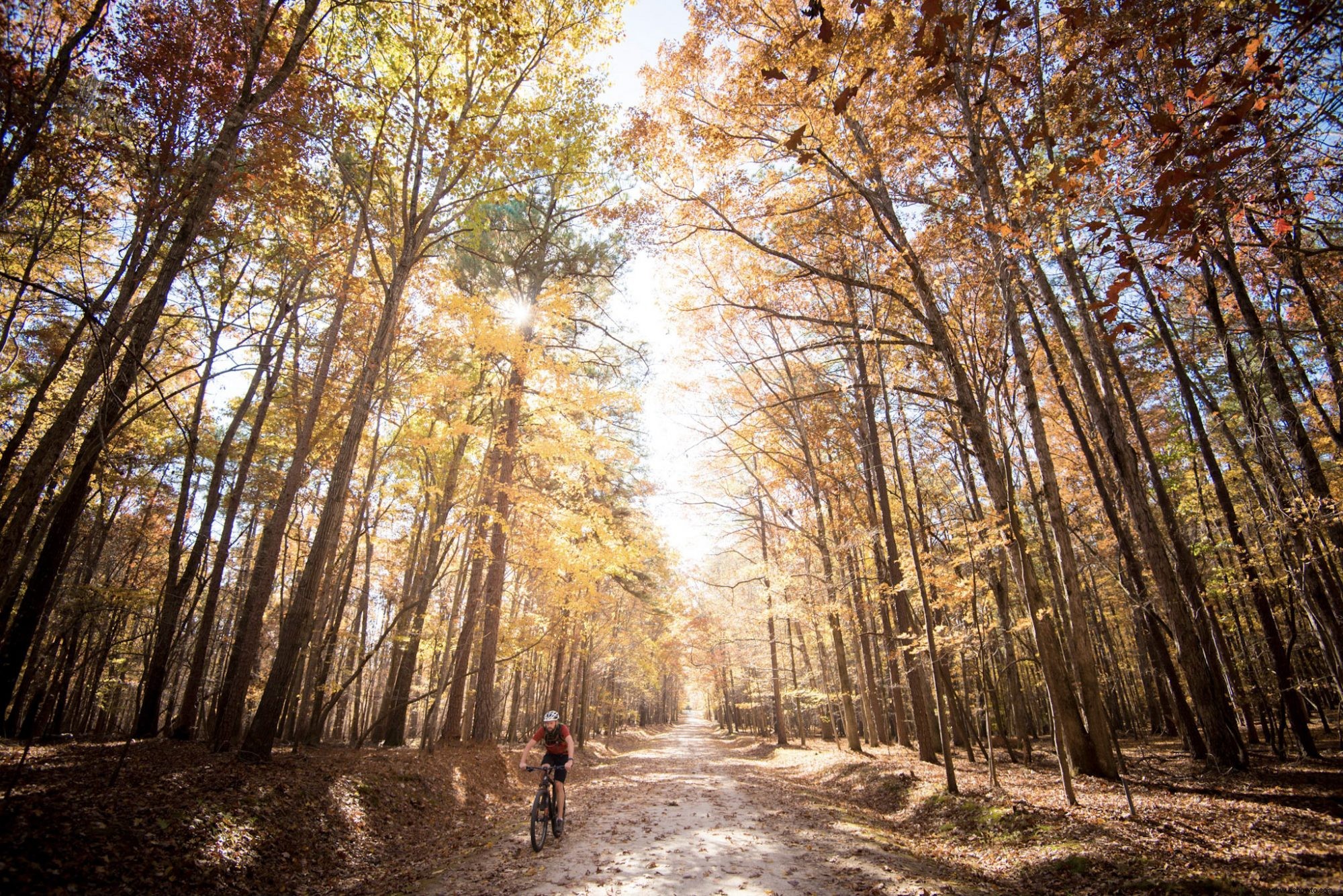 Estos son los mejores lugares para ver el follaje de otoño con su familia, estado por estado 