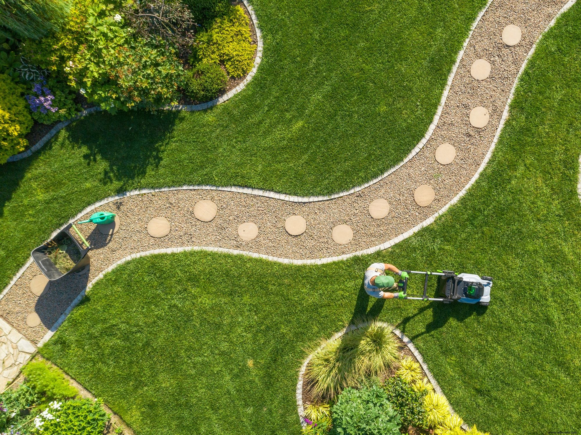 Cómo plantar semillas de césped para un césped verde y exuberante 