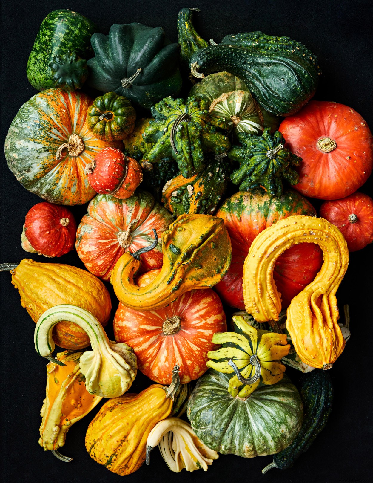 Los 10 mejores tipos de calabazas para cultivar en su jardín para decoración, manualidades y más 