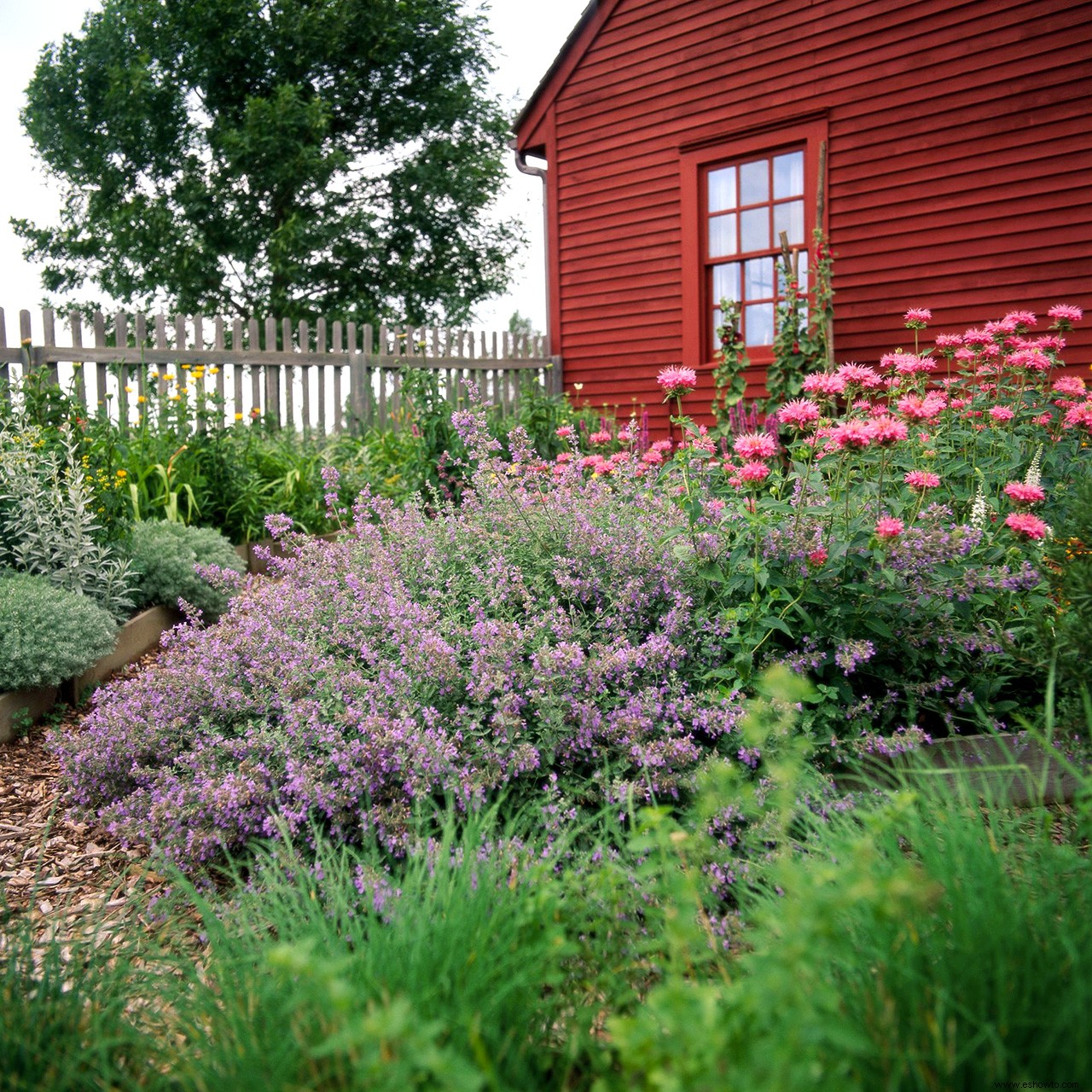 Planifique su jardín con nuestra guía de plantas con flores perennes por temporada 