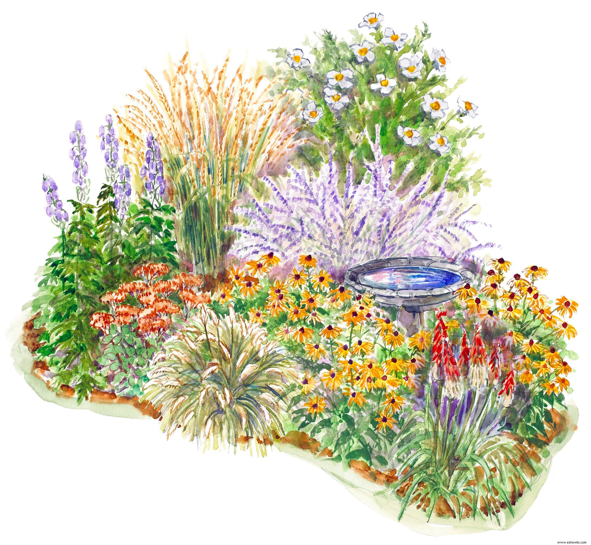 Este sencillo plan de jardín perenne de finales de verano está repleto de flores duraderas 