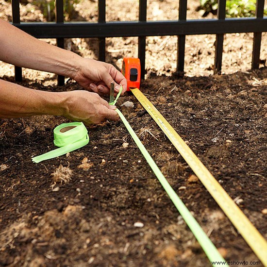 Paisajismo Cómo hacerlo:plantar un seto 