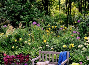 Ilumina zonas de sombra parcial en tu jardín con este plan profesional de plantas resistentes