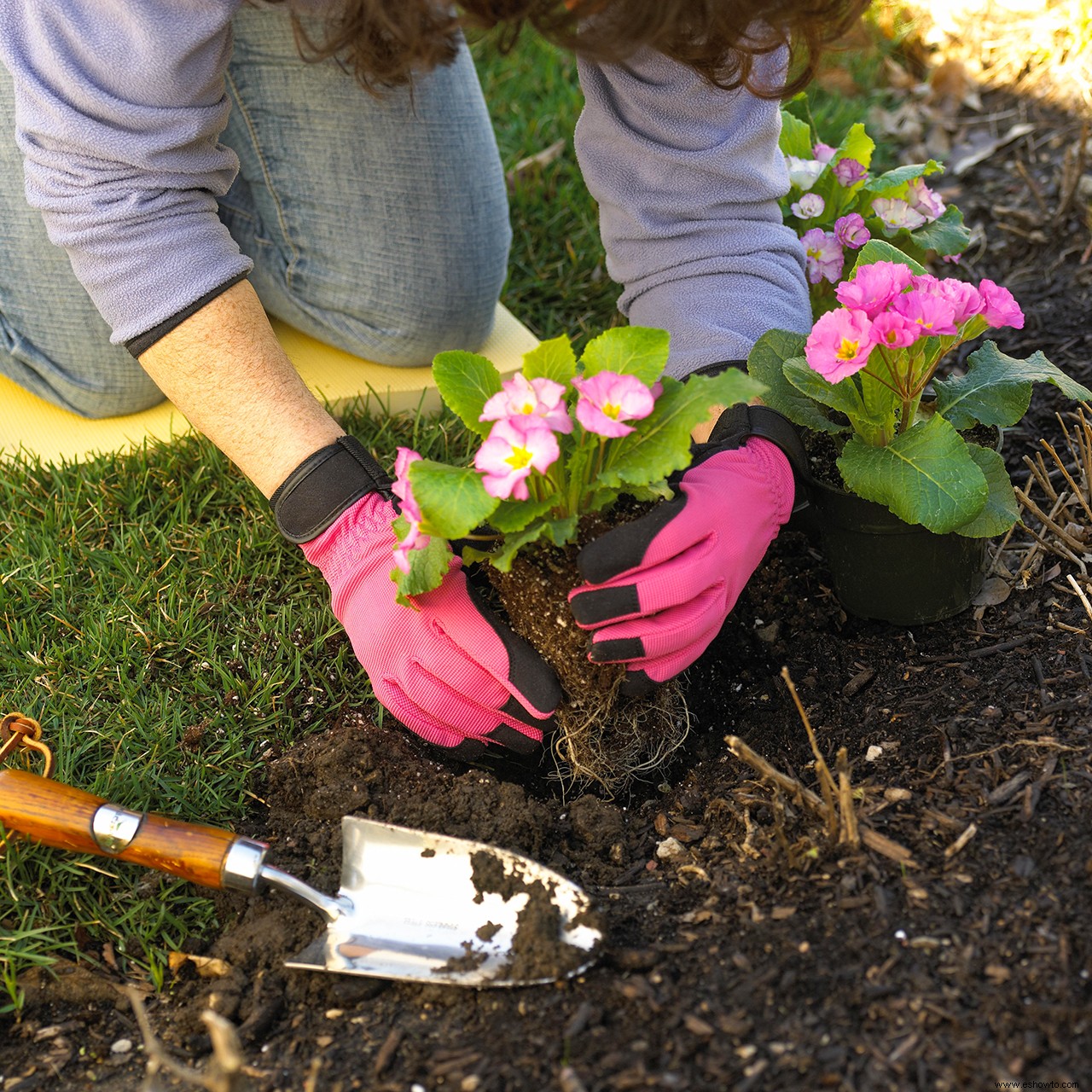 Su última fecha de helada de primavera le indica cuándo es seguro volver a plantar afuera 