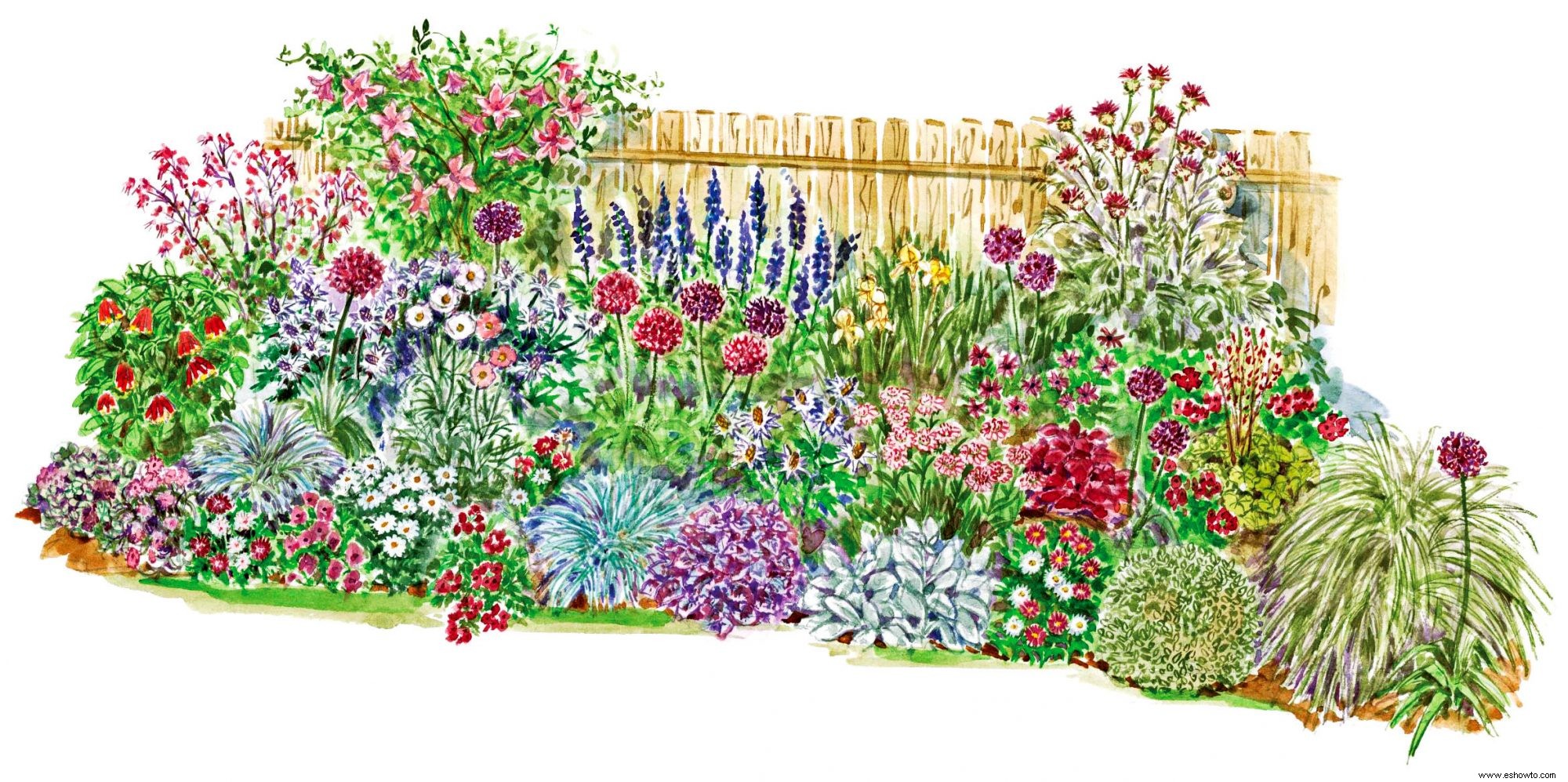 Suaviza una cerca con este colorido plan de jardín lleno de plantas perennes de fácil cuidado 