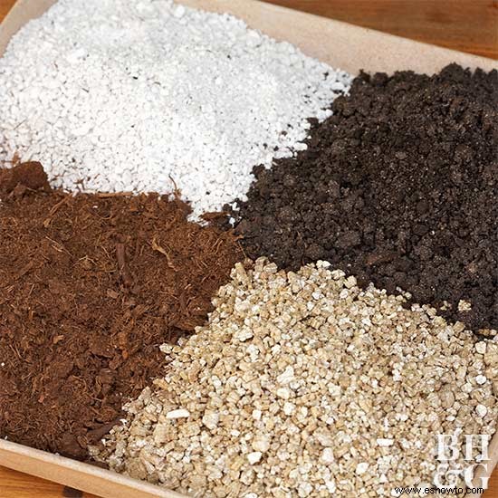 Guía de suelos y mezclas para macetas 