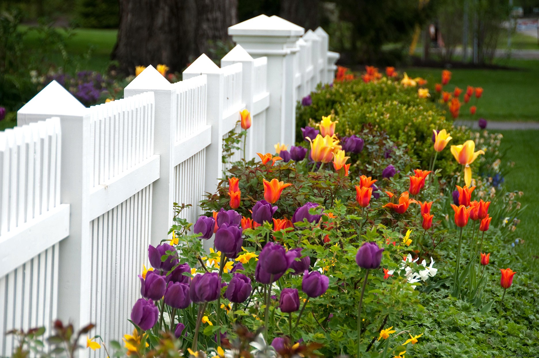 Siga esta lista de verificación de jardinería de primavera para un hermoso paisaje durante todo el año 