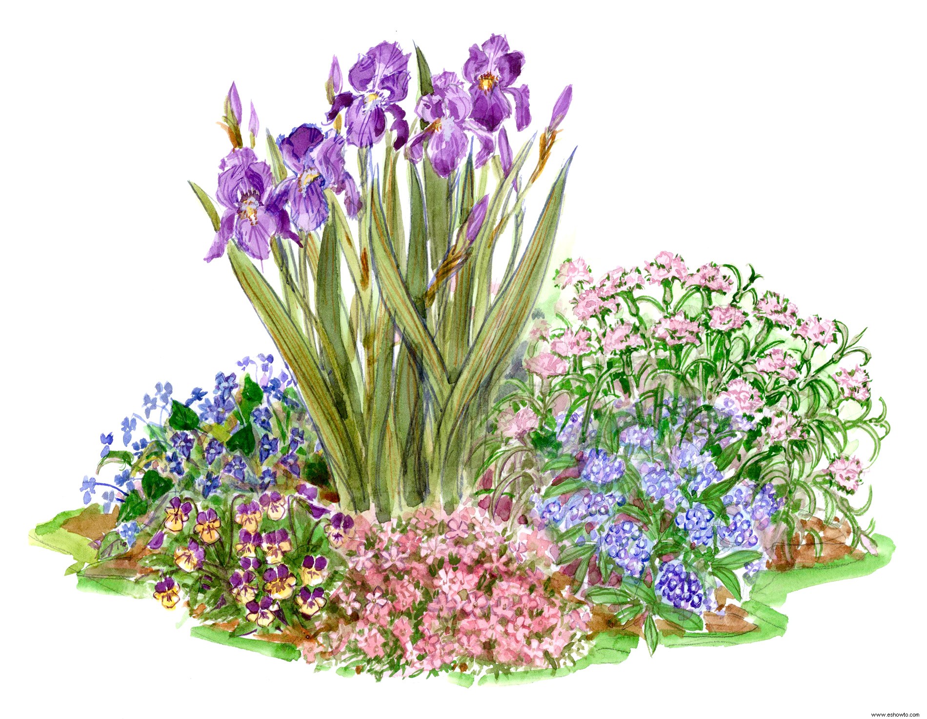 Este plan de jardín de primavera para espacios pequeños contiene una tonelada de color con solo unas pocas flores 