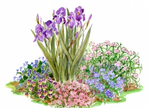 Plan de Jardín Primaveral para Espacios Pequeños: Explosión de Color con Pocas Flores