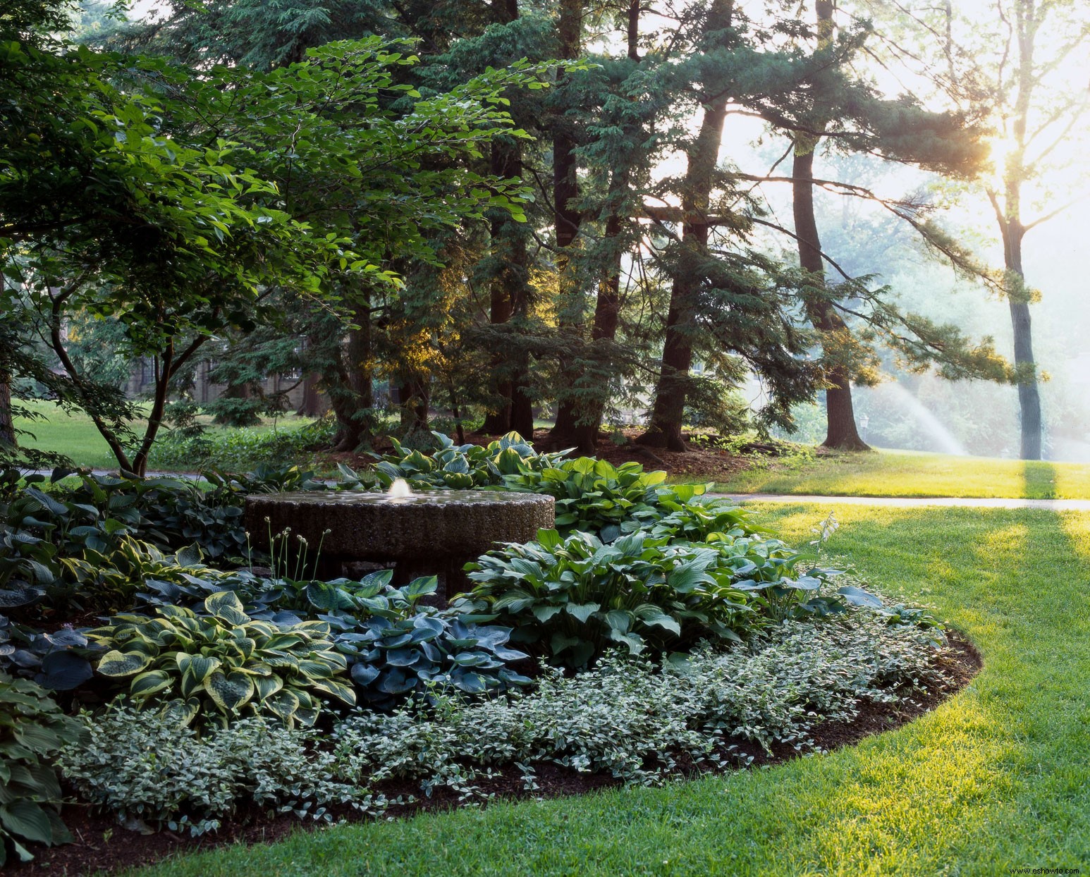 Llene ese lugar no tan soleado en su paisaje con este plan de jardín de sombra lleno de Hosta 