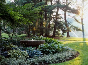 Transforma tu rincón sombreado con este plan de jardín de hostas exuberante y resistente