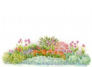 4 Espectaculares Combinaciones de Bulbos y Plantas Perennes para tu Jardín