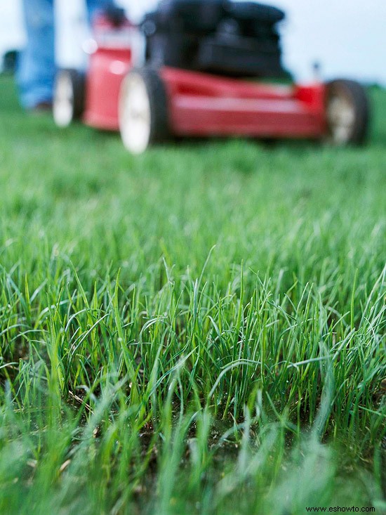 Consejos de jardinería de mayo para el noroeste del Pacífico 