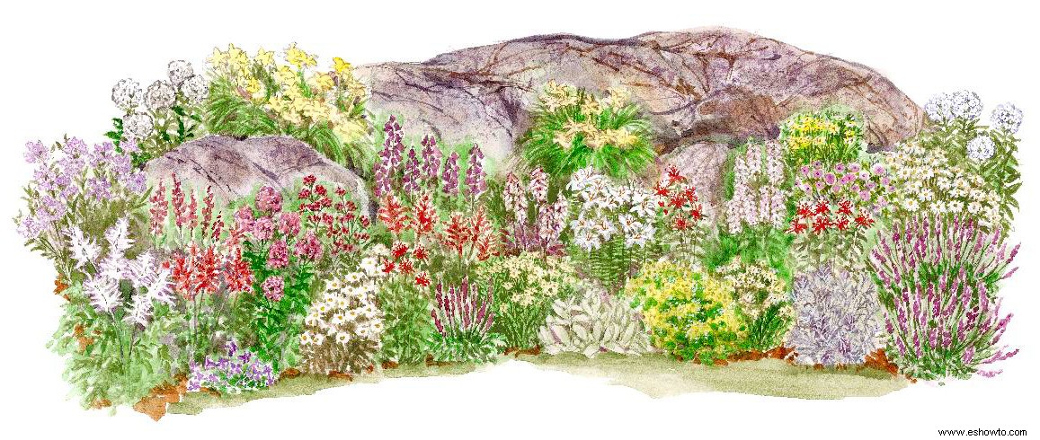 Este plan de jardín de rocas de larga floración decorará su paisaje con flores de colores 