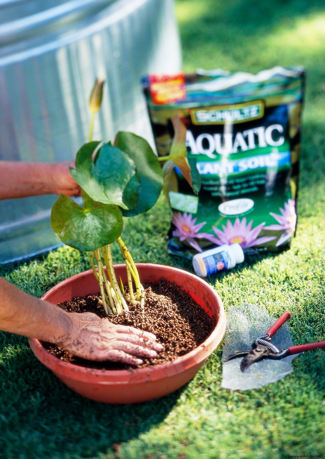 Guía de cuidado del jardín acuático 