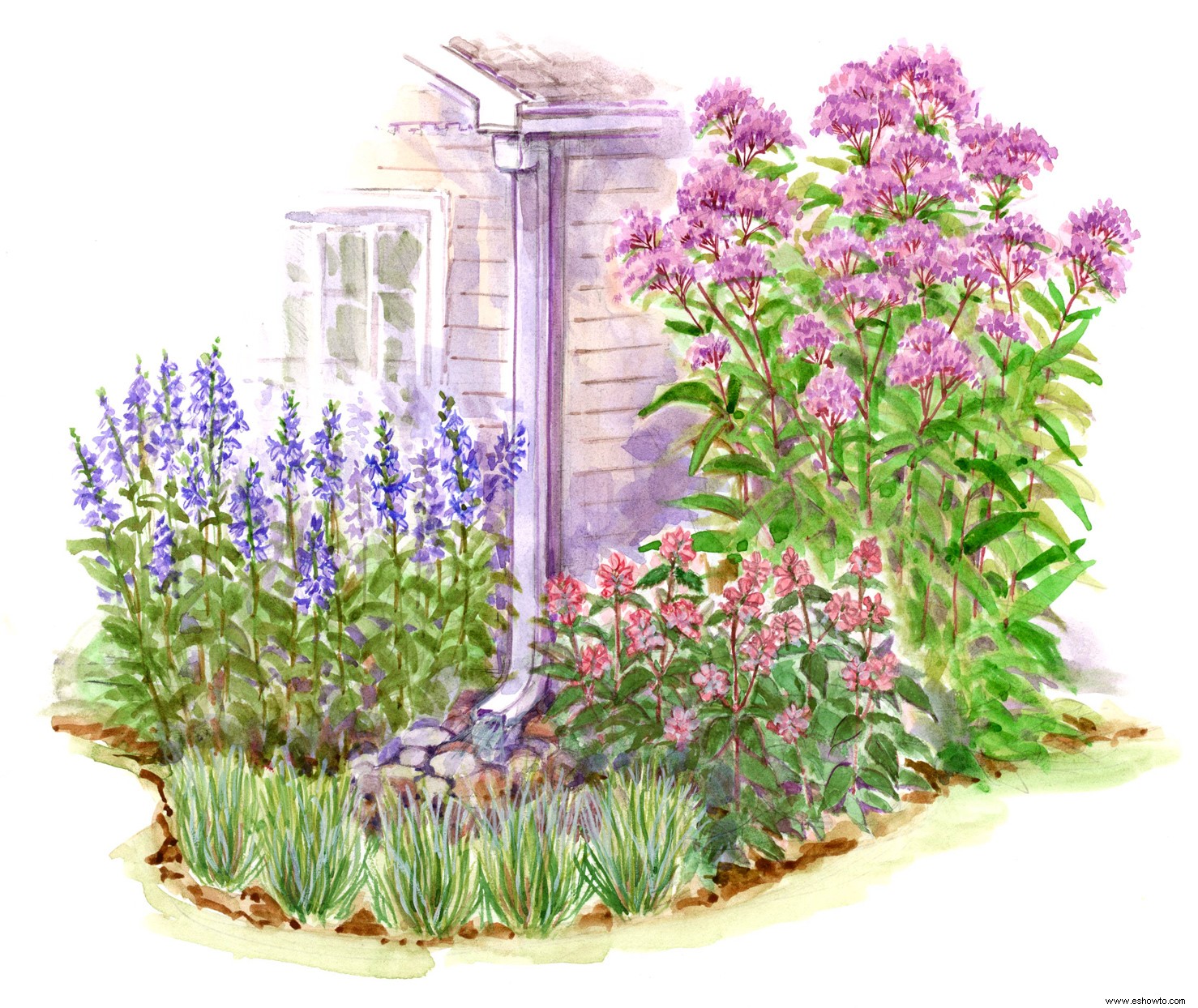 Viste el área alrededor de tu bajante con este sencillo plan de jardín perenne 