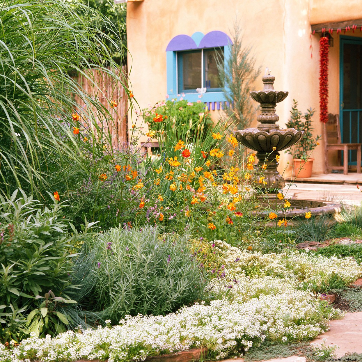 Este plan de jardín tolerante a la sequía no necesitará toneladas de agua para verse hermoso 