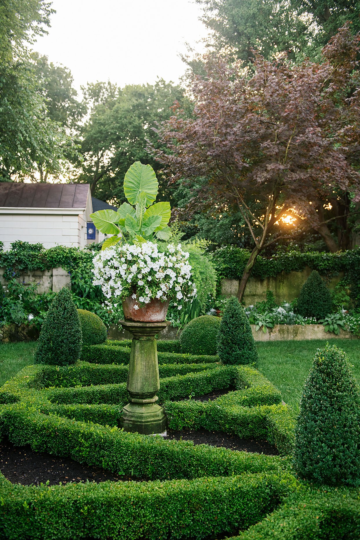 Las mejores plantas para bordes de jardines en lugares soleados o sombreados 