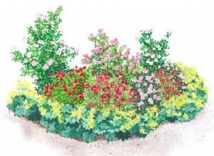 Plan de Jardín de Rosas Fáciles de Cuidar: Guía de Plantación Gratuita