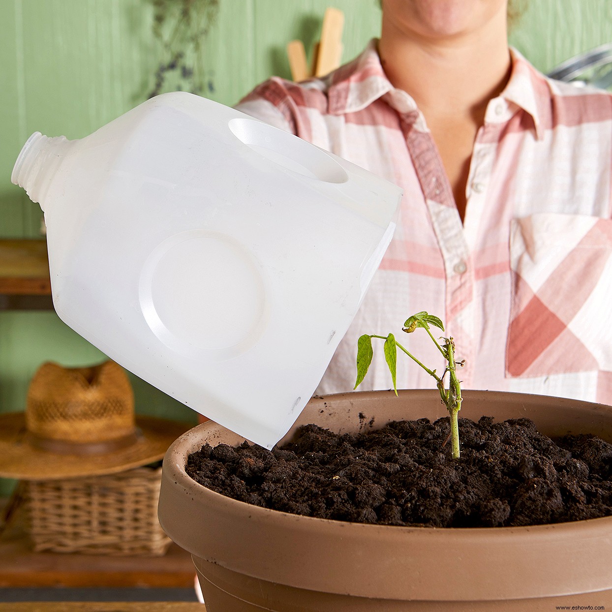 23 maneras fáciles de reciclar artículos domésticos comunes en herramientas de jardín sin costo 