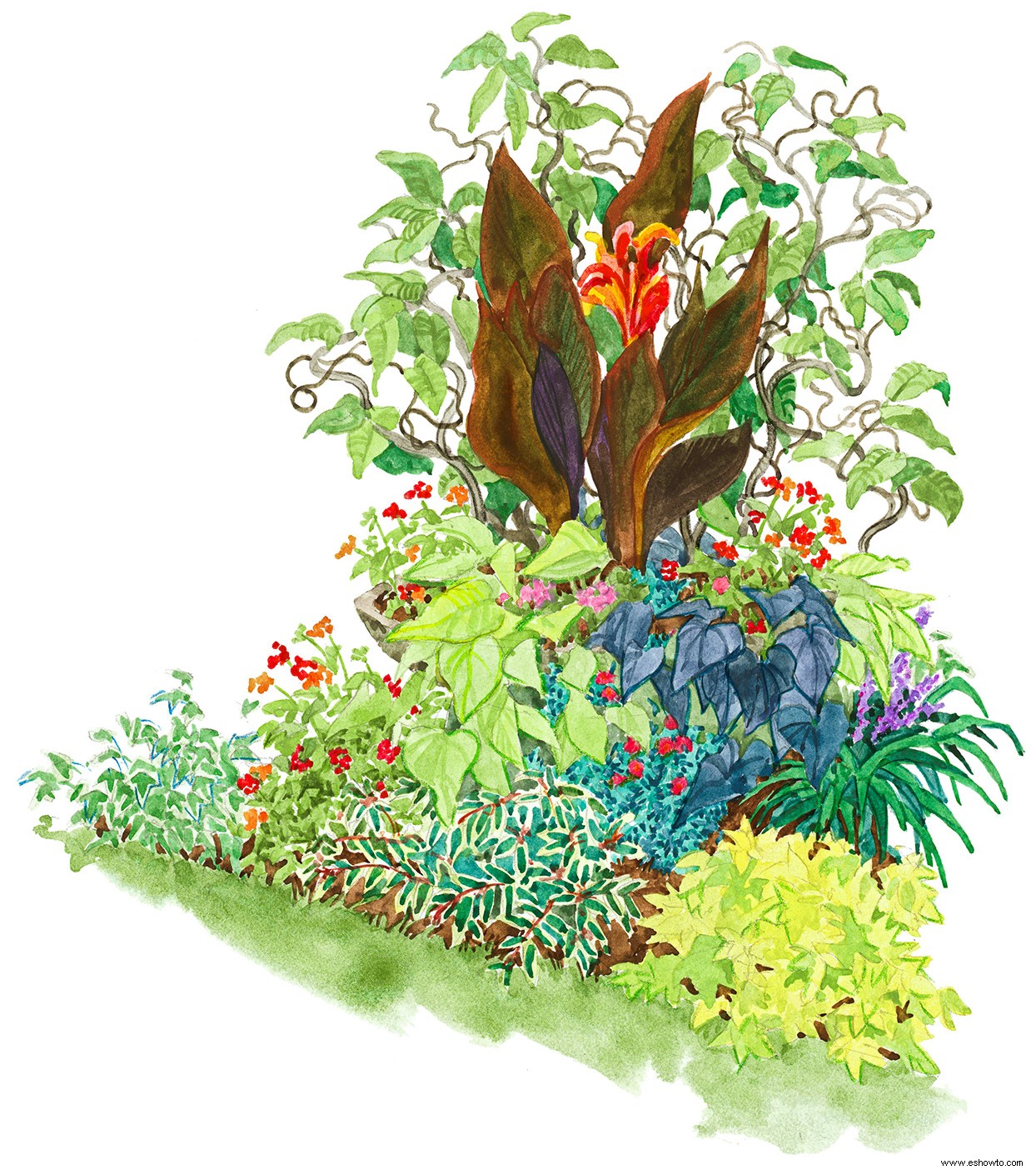 Dale a tu jardín un toque exótico con este plan de jardín de apariencia tropical 