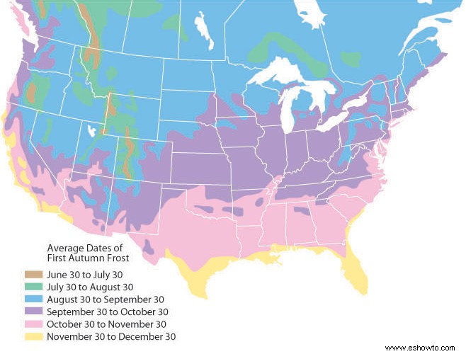 Se acerca su primera fecha de heladas de otoño:esto es lo que necesita saber 