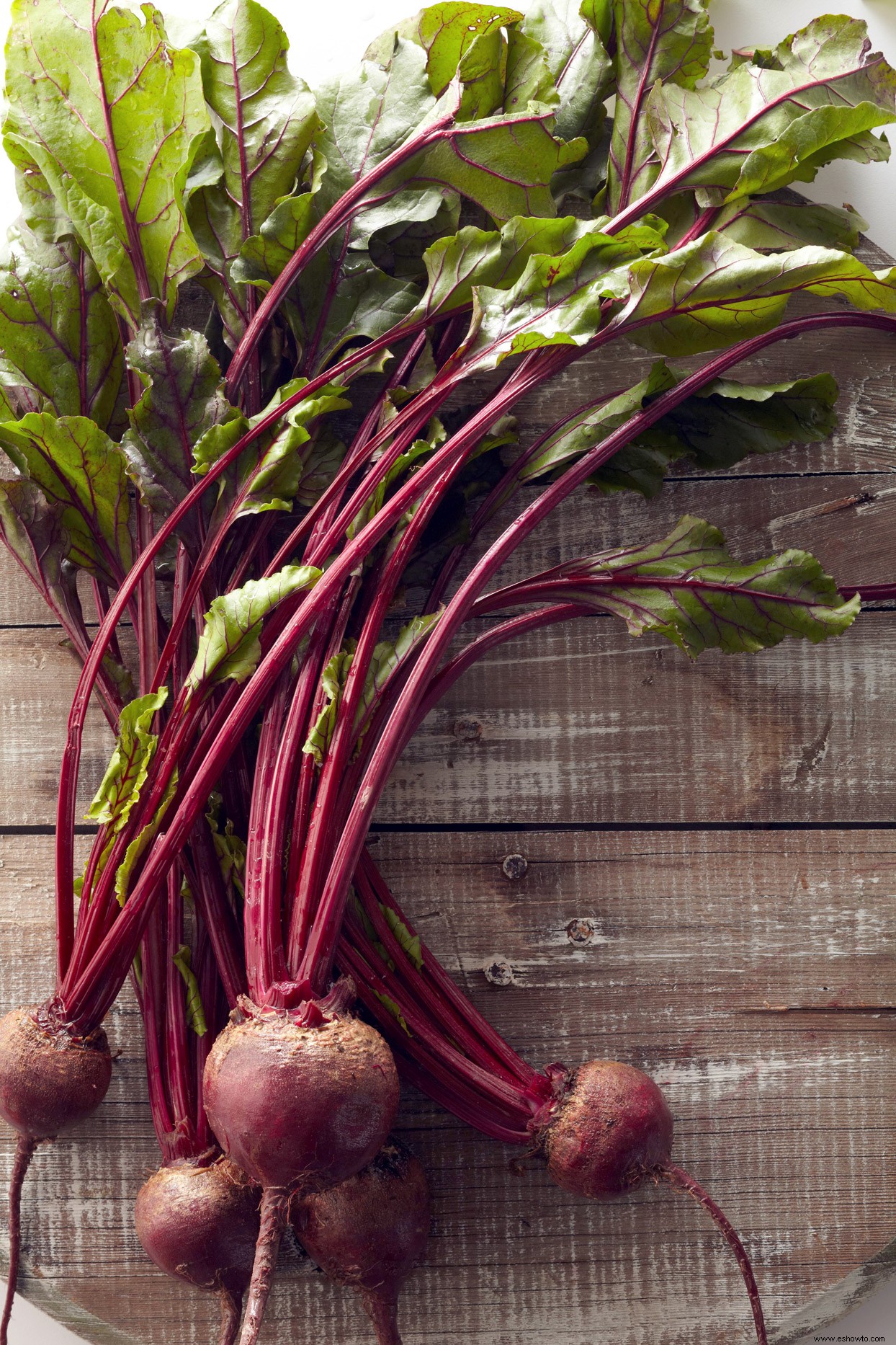 Los veranos son el momento perfecto para plantar vegetales de otoño:así es como se hace 