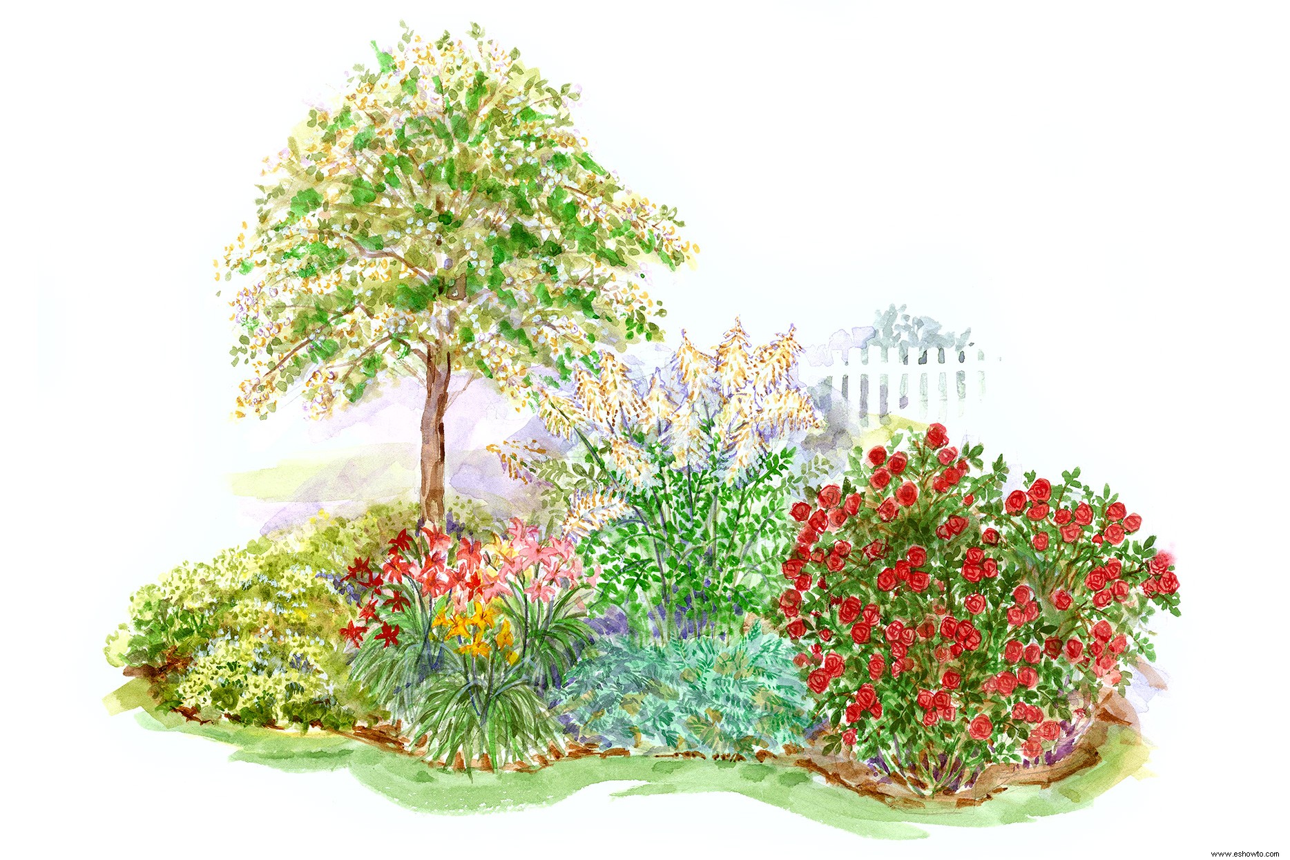 ¿Tienes tierra arcillosa? Este sencillo plan de jardín presenta hermosas plantas que prosperan en condiciones difíciles 