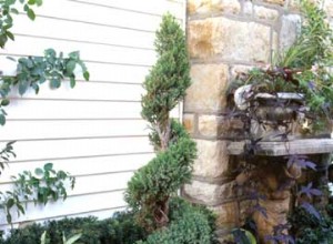 Cómo Crear un Topiario en Espiral en Casa: Guía Paso a Paso Fácil y Económica