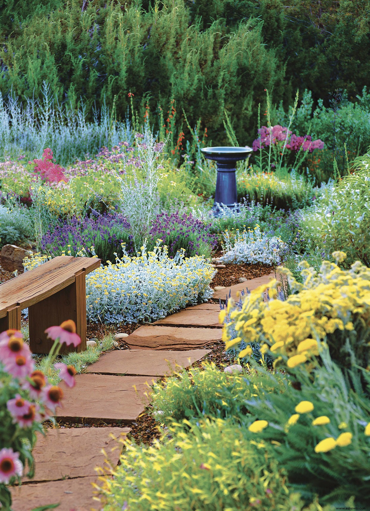 Plante este plan de jardín perenne resistente como clavos para un hermoso paisaje de bajo mantenimiento 