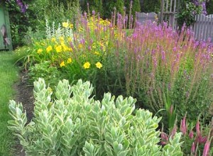 Guía Completa: Cómo Construir un Compostador Casero Paso a Paso