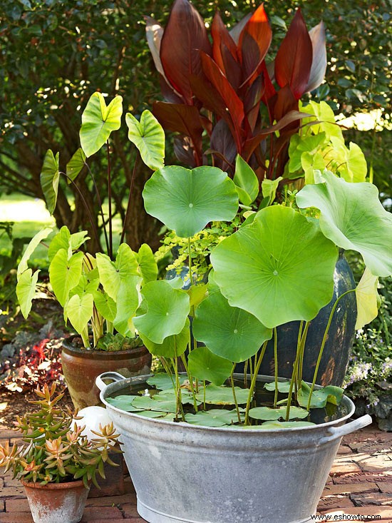 Elementos de agua para su jardín 